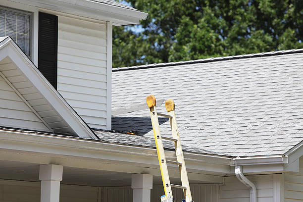 Best Fascia and Soffit Installation  in Gruetli Laager, TN