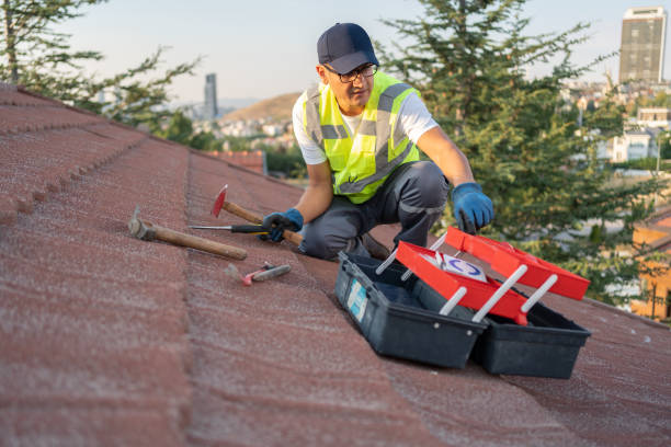 Best Insulated Siding Installation  in Gruetli Laager, TN