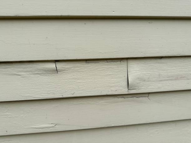 Best Siding for New Construction  in Gruetli Laager, TN